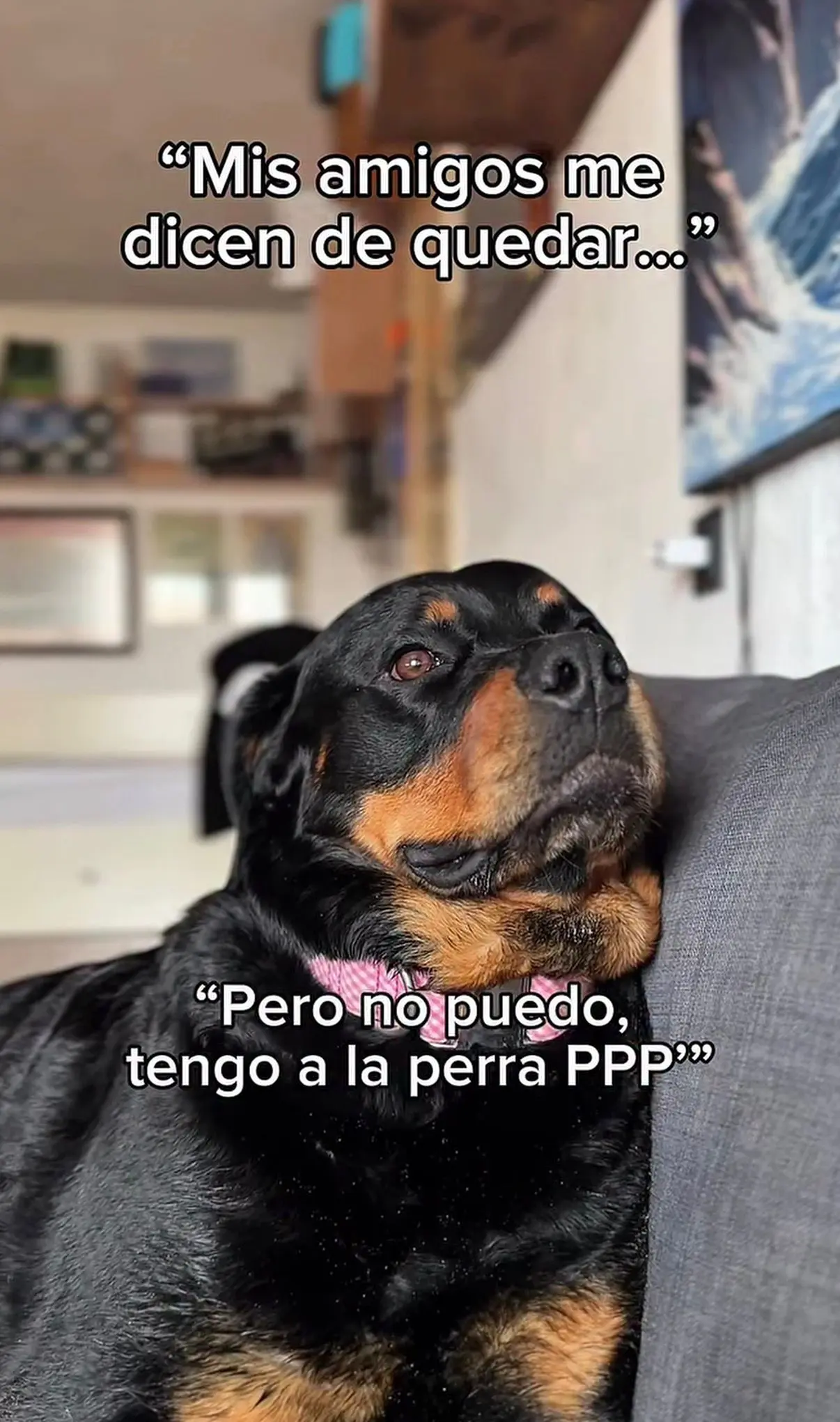 Mis amigos me dicen de quedar